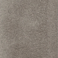 Delman Taupe Suede main image 0